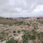 Satılır Torpaq, Novxanı, Abşeron rayonu 5