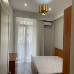 Kirayə (aylıq) 2 otaqlı Yeni Tikili, Nəriman Nərimanov metrosu, Heydər Əliyev Mərkəzi, Nərimanov rayonu 2