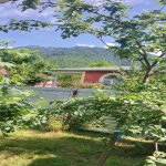 Kirayə (günlük) 4 otaqlı Həyət evi/villa Qəbələ 3