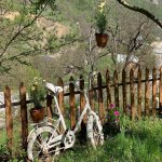 Kirayə (günlük) 3 otaqlı Həyət evi/villa Quba 23