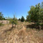 Satılır Torpaq, Novxanı, Abşeron rayonu 4