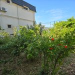 Kirayə (aylıq) 4 otaqlı Həyət evi/villa, Buzovna, Xəzər rayonu 20