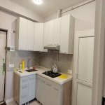 Kirayə (aylıq) 2 otaqlı Yeni Tikili, Qaraçuxur qəs., Suraxanı rayonu 10