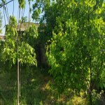 Satılır 5 otaqlı Həyət evi/villa Şamaxı 2