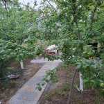 Kirayə (günlük) 3 otaqlı Həyət evi/villa İsmayıllı 9