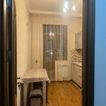 Kirayə (aylıq) 2 otaqlı Yeni Tikili, Bayıl qəs., Səbail rayonu 8