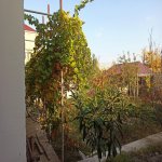 Satılır 7 otaqlı Həyət evi/villa Gəncə 12