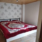 Kirayə (aylıq) 2 otaqlı Bağ evi Qəbələ 8