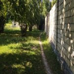 Satılır Torpaq Qəbələ 3