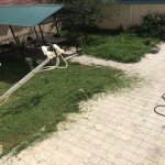 Посуточно 4 комнат Дома/Виллы Гусар 8