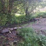 Kirayə (günlük) 4 otaqlı Bağ evi Quba 4