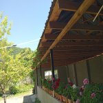 Kirayə (günlük) 4 otaqlı Yeni Tikili Qəbələ 1
