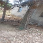 Satılır Torpaq, Lökbatan qəs., Qaradağ rayonu 5