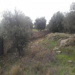 Satılır Torpaq, Zığ qəs., Suraxanı rayonu 21