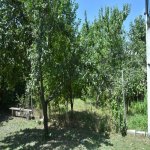 Satılır 4 otaqlı Həyət evi/villa Qəbələ 13
