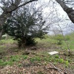Satılır 10 otaqlı Bağ evi Şamaxı 44