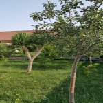 Kirayə (aylıq) 5 otaqlı Bağ evi, Türkan, Xəzər rayonu 4