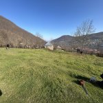 Satılır Torpaq Quba 5