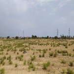 Satılır Torpaq, Pereküşkül, Abşeron rayonu 3