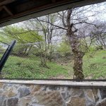 Satılır 10 otaqlı Bağ evi Şamaxı 35