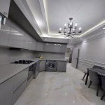 Аренда 2 комнатная Новостройка, Насими район 10