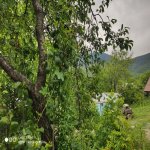 Satılır 6 otaqlı Bağ evi İsmayıllı 4
