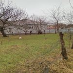 Satılır Torpaq Qəbələ 1