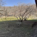 Satılır Torpaq Qəbələ 9