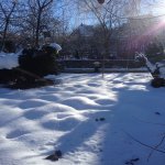Kirayə (günlük) 5 otaqlı Həyət evi/villa Quba 15