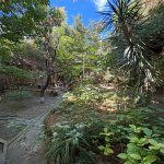 Kirayə (aylıq) 5 otaqlı Həyət evi/villa, İçərişəhər metrosu, Səbail rayonu 23