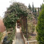 Продажа 5 комнатная Дома/Виллы, пос. Биня, Хязяр район 28