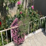 Satılır 3 otaqlı Həyət evi/villa, Masazır, Abşeron rayonu 11