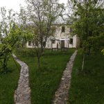 Kirayə (günlük) 4 otaqlı Həyət evi/villa Quba 11