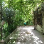 Satılır 5 otaqlı Həyət evi/villa, Səbail rayonu 21