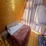 Kirayə (günlük) 3 otaqlı Həyət evi/villa Qəbələ 3