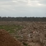 Satılır Torpaq, Yeni Suraxanı qəs., Suraxanı rayonu 7