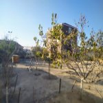 Satılır 5 otaqlı Həyət evi/villa, Türkan, Xəzər rayonu 9