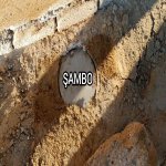 Продажа Участок, Мехдиабад, Абшерон район 19