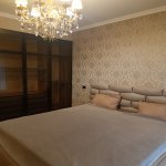 Kirayə (aylıq) 3 otaqlı Yeni Tikili, 28 May metrosu, Nəsimi rayonu 7