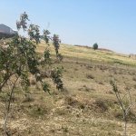Satılır Torpaq, Aşağı Güzdək, Abşeron rayonu 13