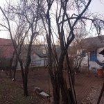 Satılır Torpaq Şamaxı 11