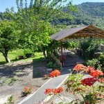 Kirayə (günlük) 4 otaqlı Həyət evi/villa Lerik 3