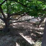 Satılır 4 otaqlı Bağ evi, Novxanı, Abşeron rayonu 6