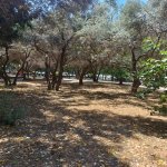 Satılır 2 otaqlı Köhnə Tikili, Həzi Aslanov metrosu, H.Aslanov qəs., Xətai rayonu 8