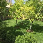 Satılır 5 otaqlı Həyət evi/villa, Sulutəpə qəs., Binəqədi rayonu 45
