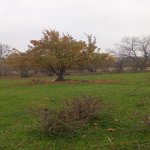 Продажа Участок Гябяля 12