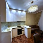 Kirayə (aylıq) 3 otaqlı Yeni Tikili, Nizami metrosu, Yasamal rayonu 8