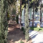 Satılır 3 otaqlı Köhnə Tikili, Azadlıq metrosu, 8-ci mikrorayon, Binəqədi rayonu 2