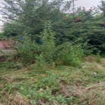 Satılır 4 otaqlı Həyət evi/villa Quba 9
