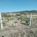 Satılır Torpaq İsmayıllı 3